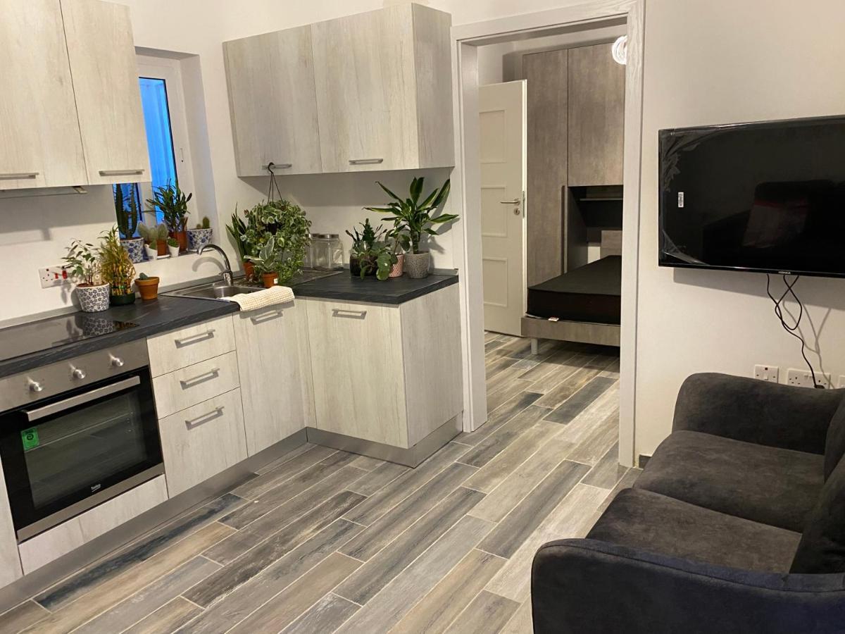 One Beautiful Bedroom Flat In Pieta